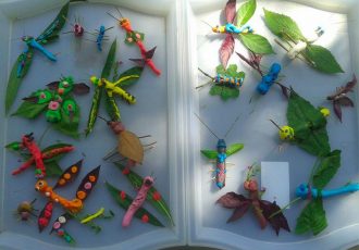 Insect models