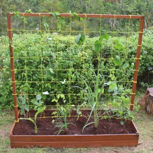 Raised Bed
