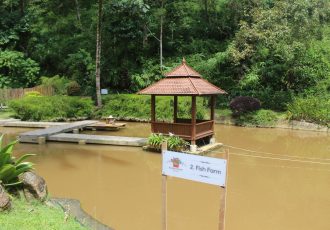 Fish Farm (1)-min