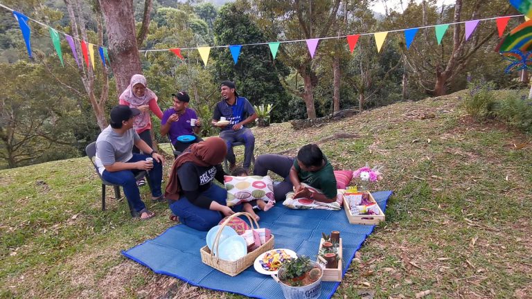 picnic