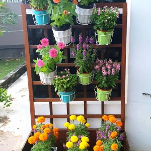 Planter Box Flowers