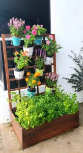 Planter Box_Veg & Flowers 3 LQ
