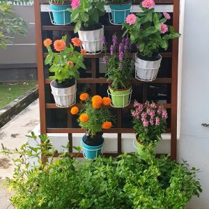Planter Box Veg & Flowers