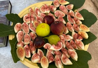 WhatsApp Image 2021-04-07 at 09.24.13