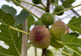 WhatsApp Image 2021-04-07 at 09.52.06