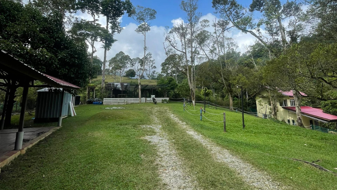 Campsite